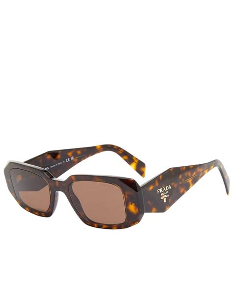 prada eyeglasses brown|Prada symbole sunglasses tortoise.